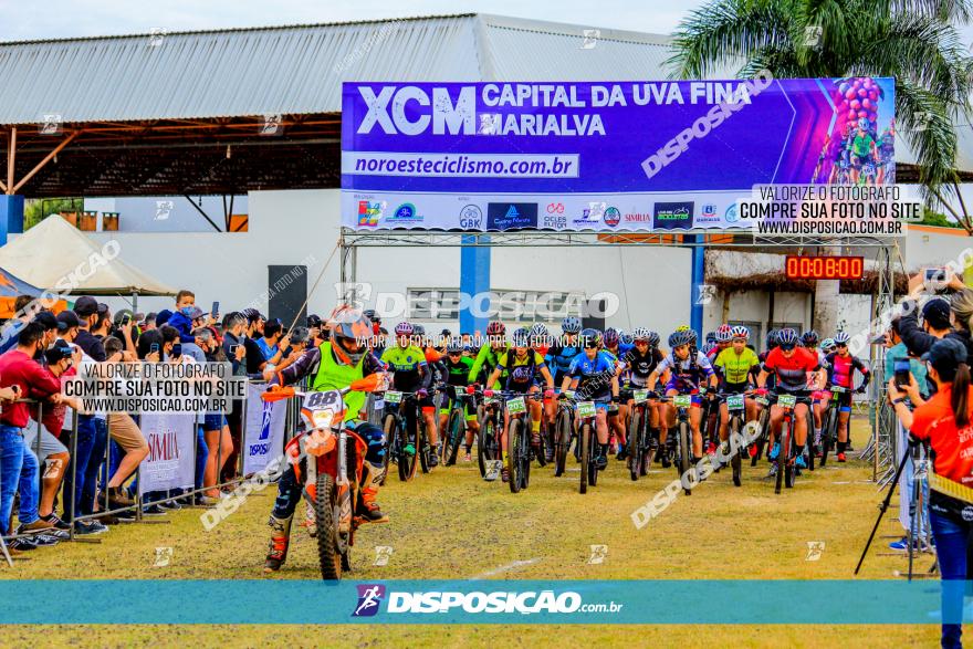 XCM Capital da Uva Fina Marialva 2021