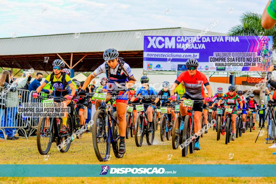 XCM Capital da Uva Fina Marialva 2021