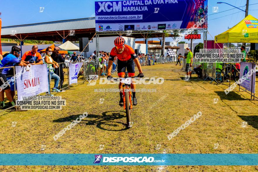 XCM Capital da Uva Fina Marialva 2021