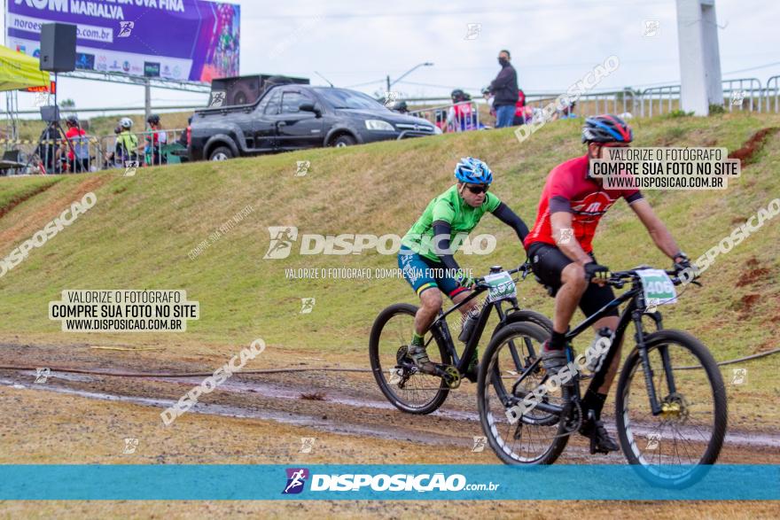 XCM Capital da Uva Fina Marialva 2021