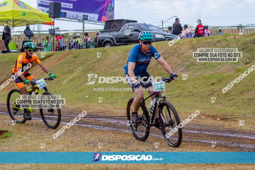 XCM Capital da Uva Fina Marialva 2021