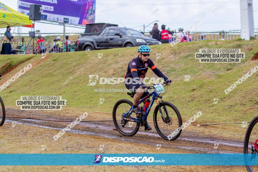 XCM Capital da Uva Fina Marialva 2021