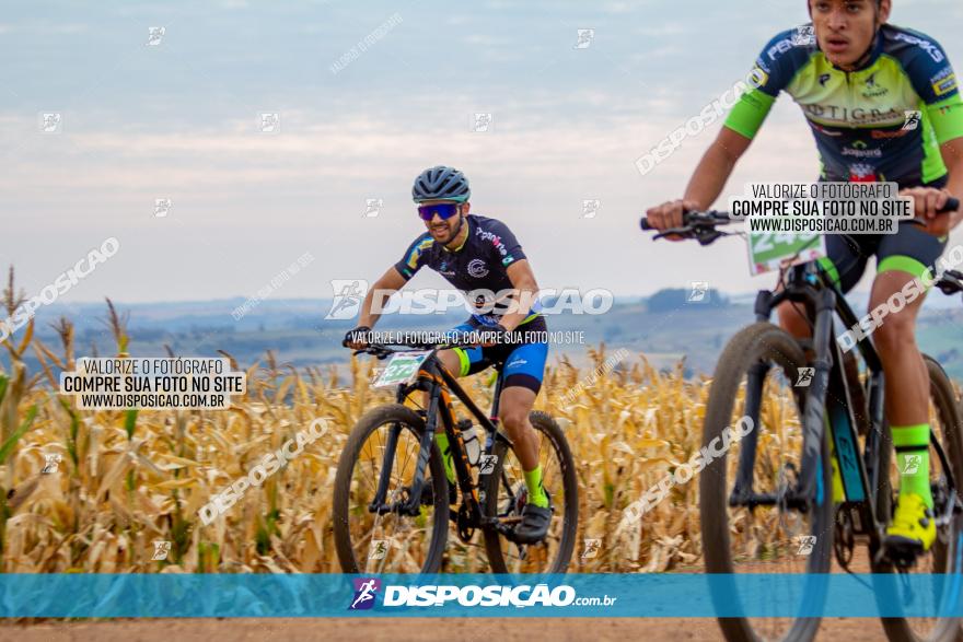 XCM Capital da Uva Fina Marialva 2021