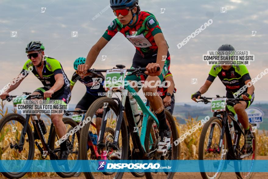 XCM Capital da Uva Fina Marialva 2021