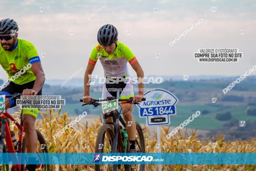 XCM Capital da Uva Fina Marialva 2021