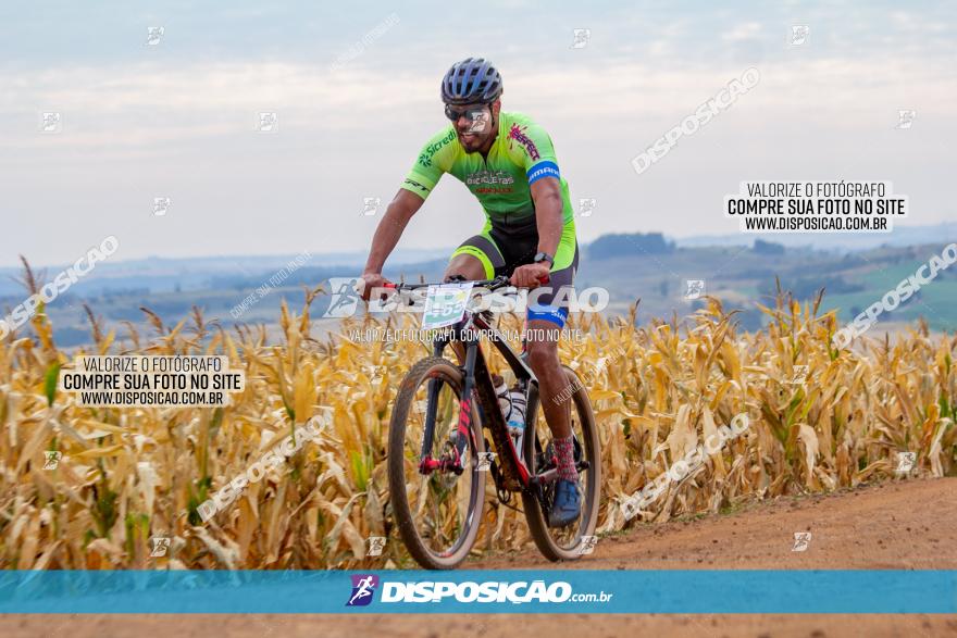 XCM Capital da Uva Fina Marialva 2021