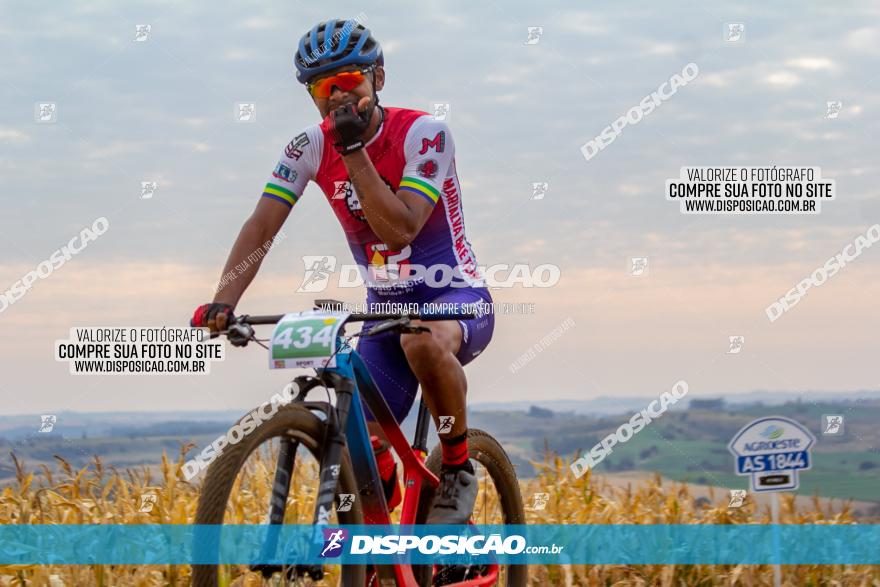 XCM Capital da Uva Fina Marialva 2021