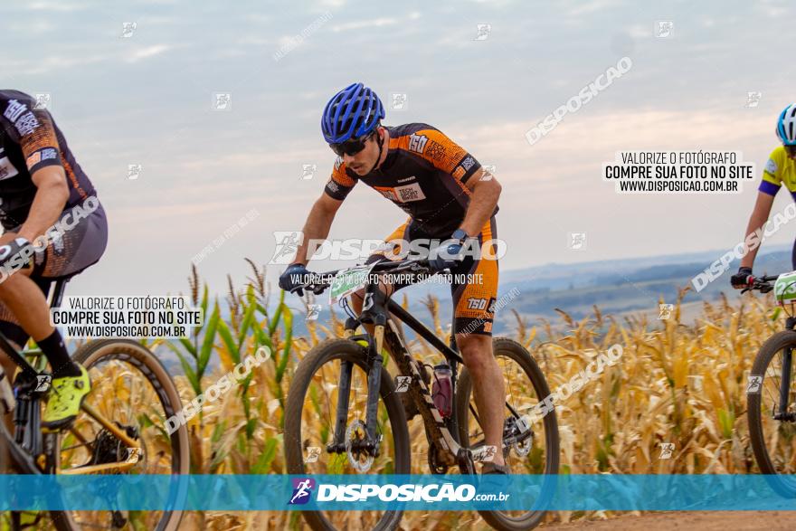 XCM Capital da Uva Fina Marialva 2021