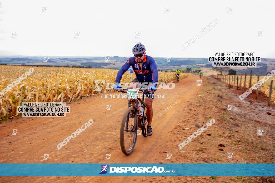 XCM Capital da Uva Fina Marialva 2021