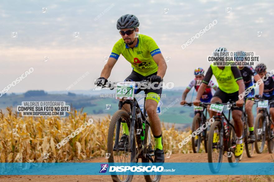 XCM Capital da Uva Fina Marialva 2021