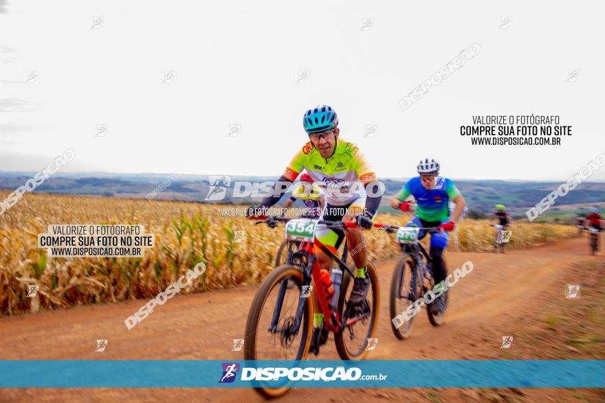 XCM Capital da Uva Fina Marialva 2021