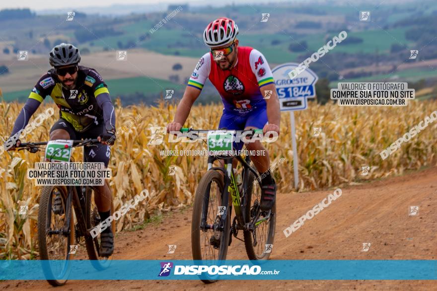 XCM Capital da Uva Fina Marialva 2021