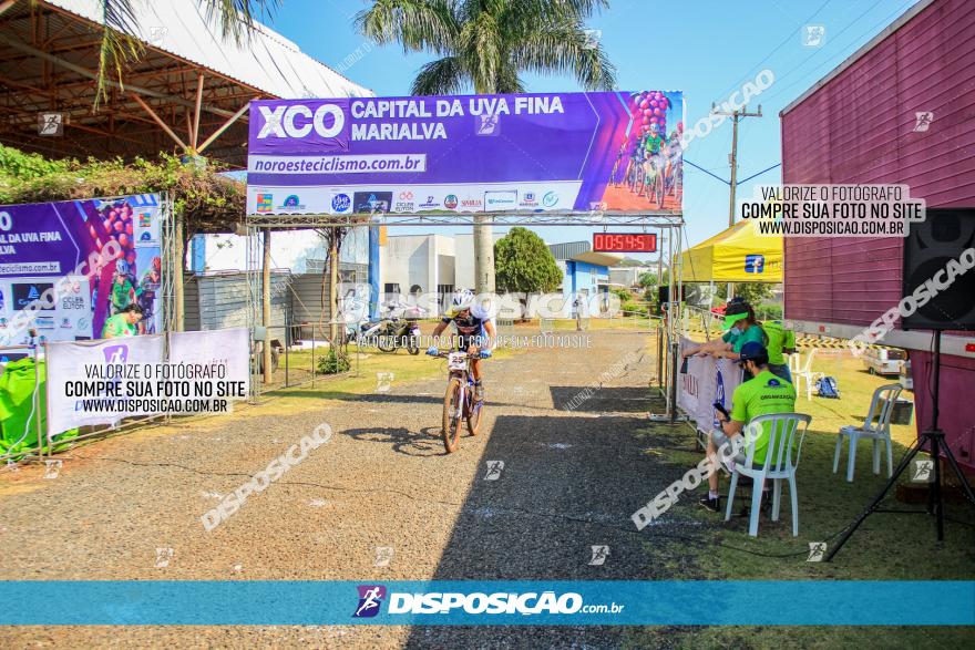 XCO Capital da Uva Fina Marialva 2021