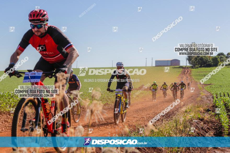  Furioso Extrema MTB 