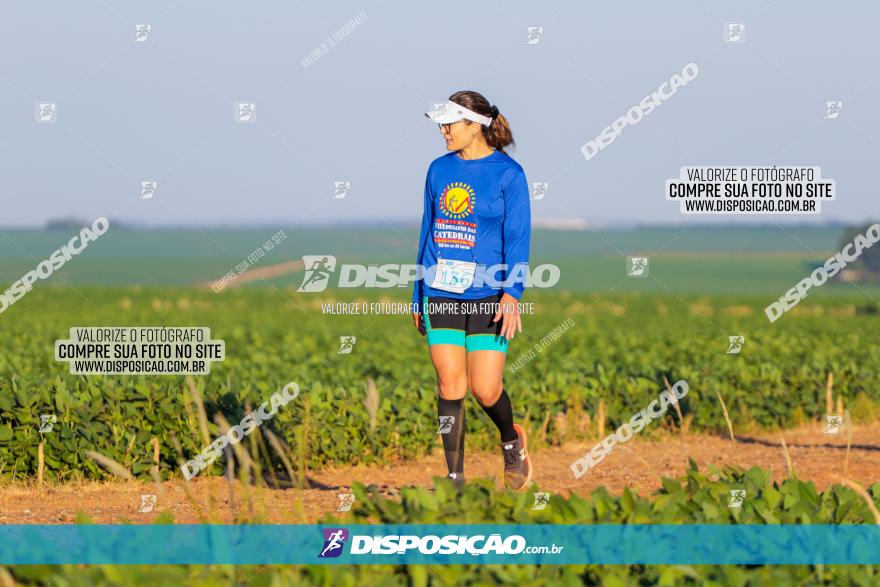 VIII Desafio das Catedrais - 2021