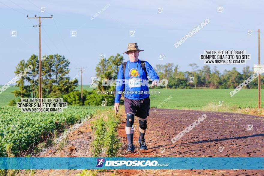VIII Desafio das Catedrais - 2021