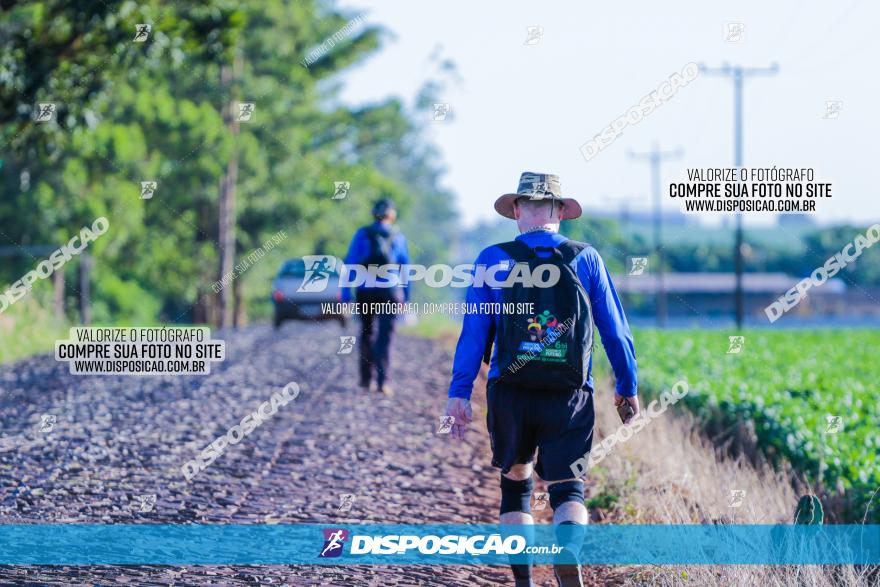 VIII Desafio das Catedrais - 2021