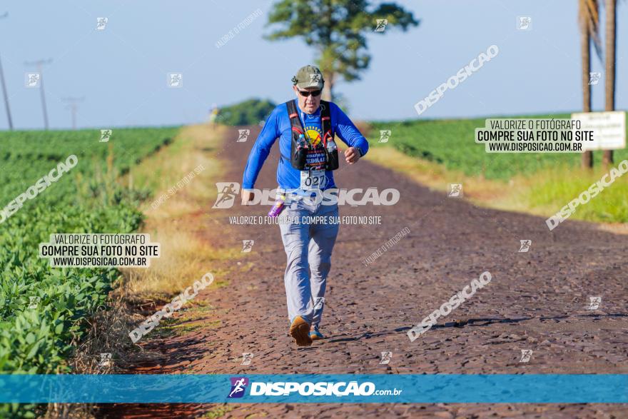 VIII Desafio das Catedrais - 2021