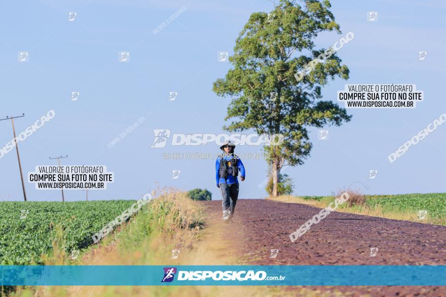 VIII Desafio das Catedrais - 2021