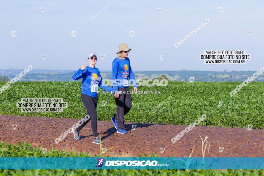 VIII Desafio das Catedrais - 2021