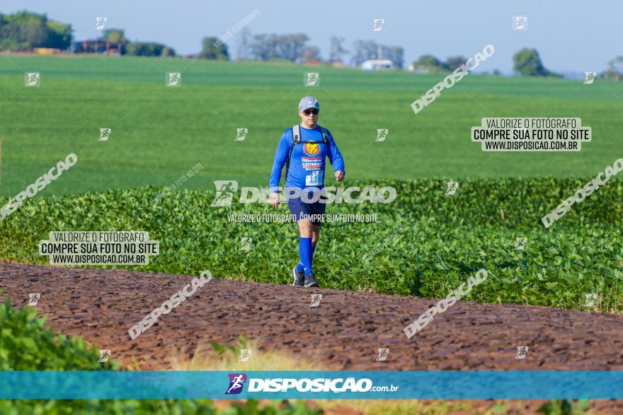 VIII Desafio das Catedrais - 2021