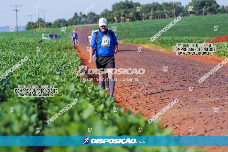VIII Desafio das Catedrais - 2021