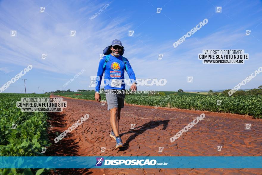 VIII Desafio das Catedrais - 2021