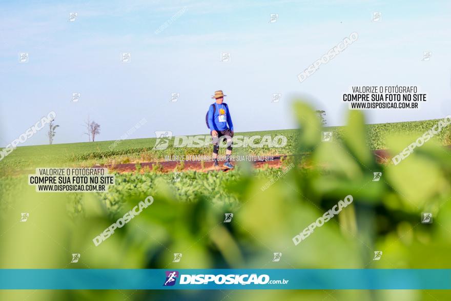 VIII Desafio das Catedrais - 2021