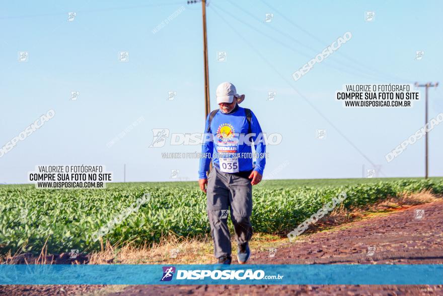 VIII Desafio das Catedrais - 2021
