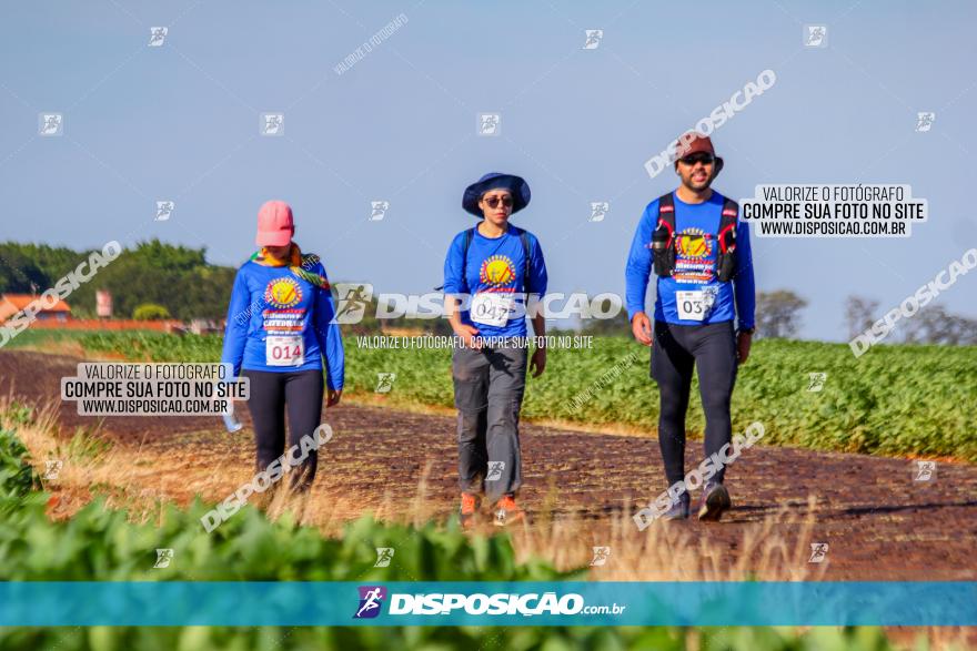 VIII Desafio das Catedrais - 2021