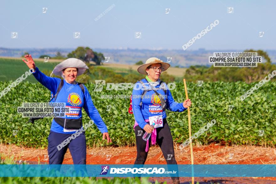 VIII Desafio das Catedrais - 2021