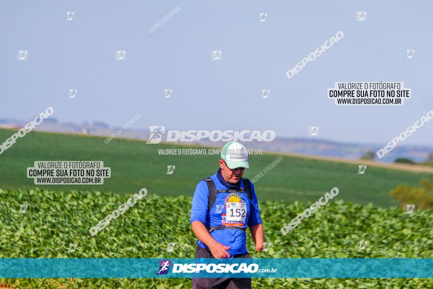 VIII Desafio das Catedrais - 2021