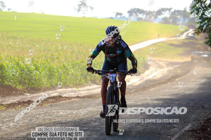 Rota das Catedrais 2022