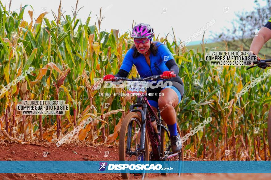 1º Pedala Bela Vista