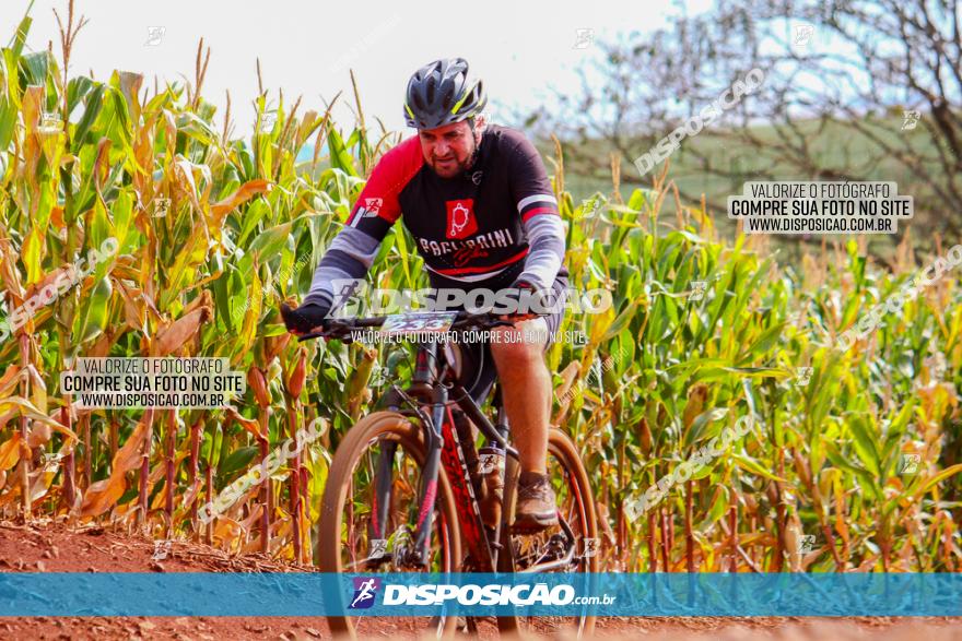 1º Pedala Bela Vista