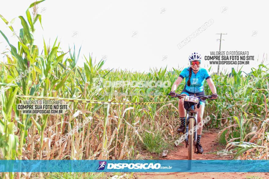 1º Pedala Bela Vista