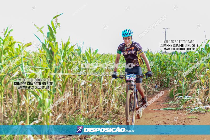 1º Pedala Bela Vista