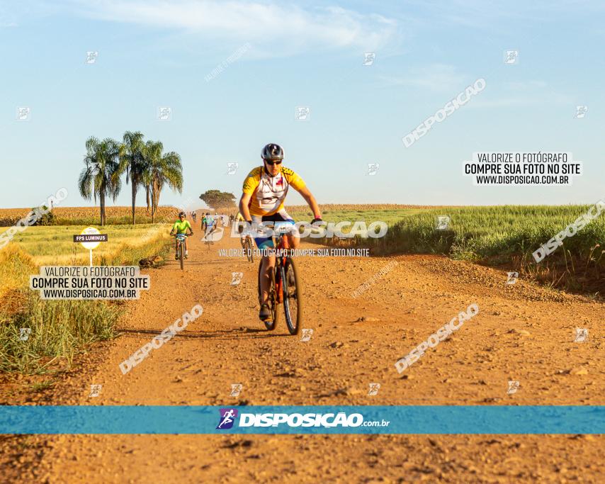 Pedal da Isa 2022