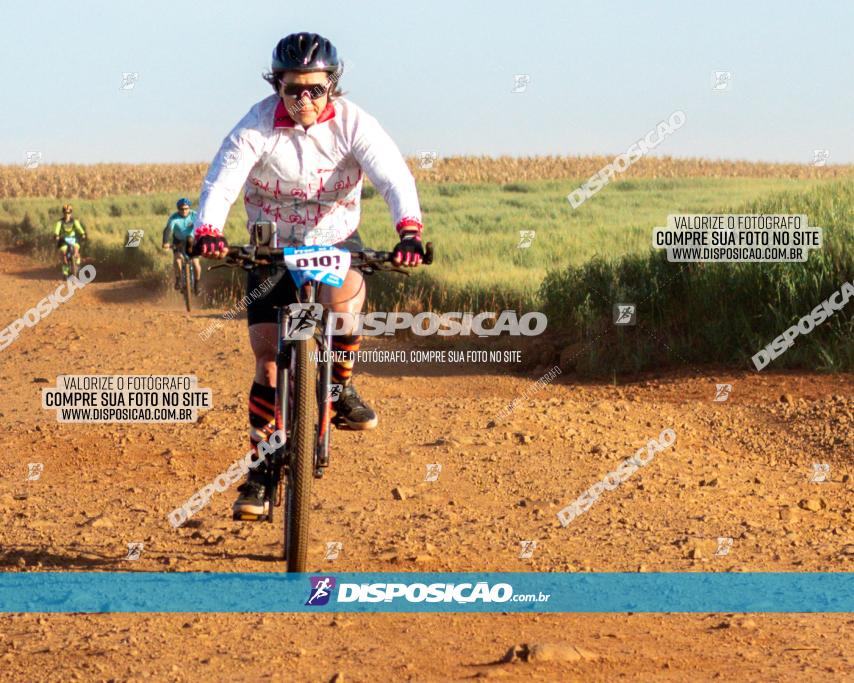 Pedal da Isa 2022