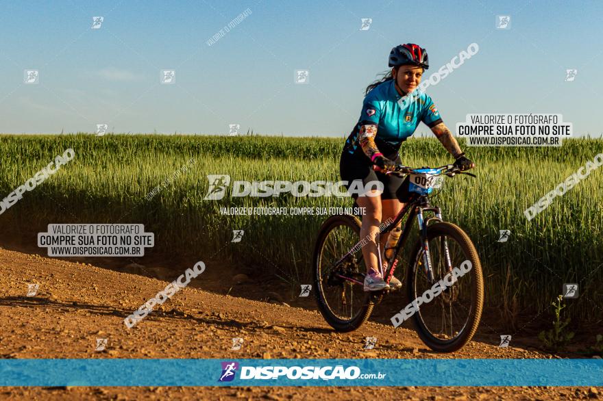 Pedal da Isa 2022