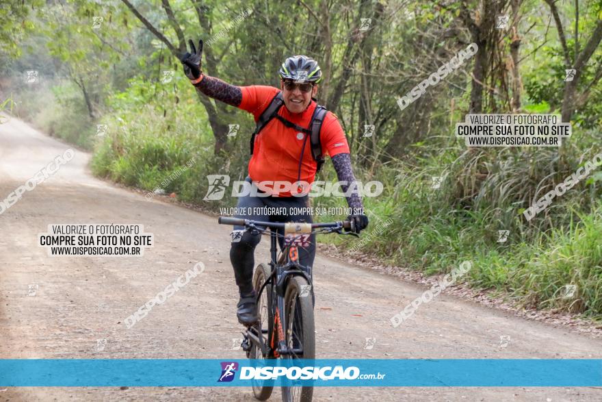 Desafio do Anjo 2022