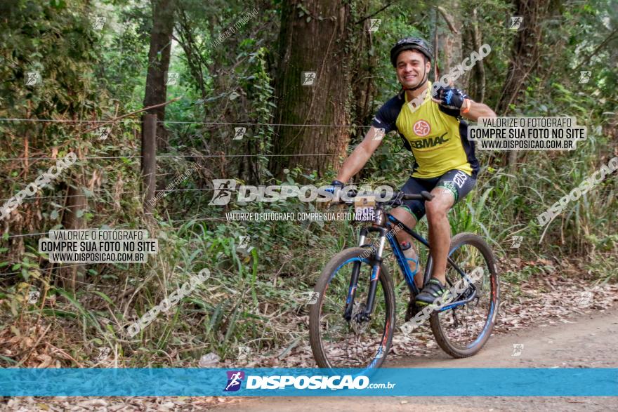 Desafio do Anjo 2022