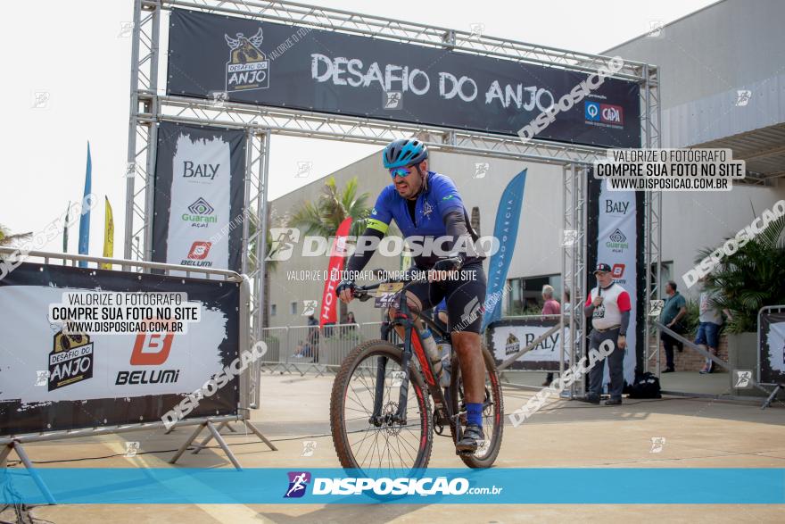 Desafio do Anjo 2022