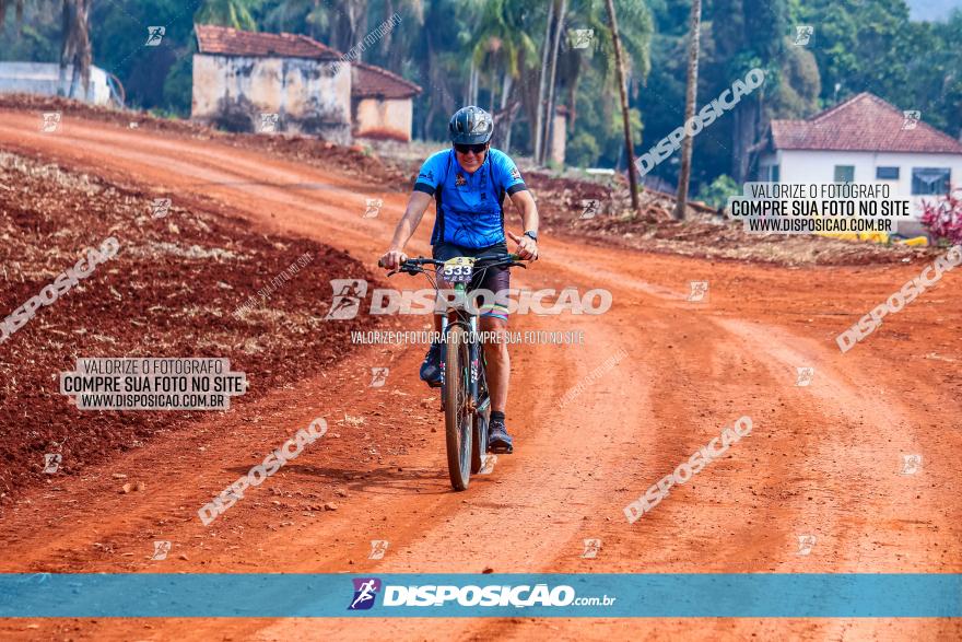 Desafio do Anjo 2022