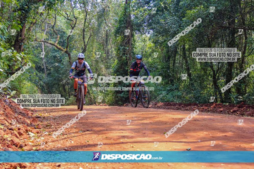 Desafio do Anjo 2022
