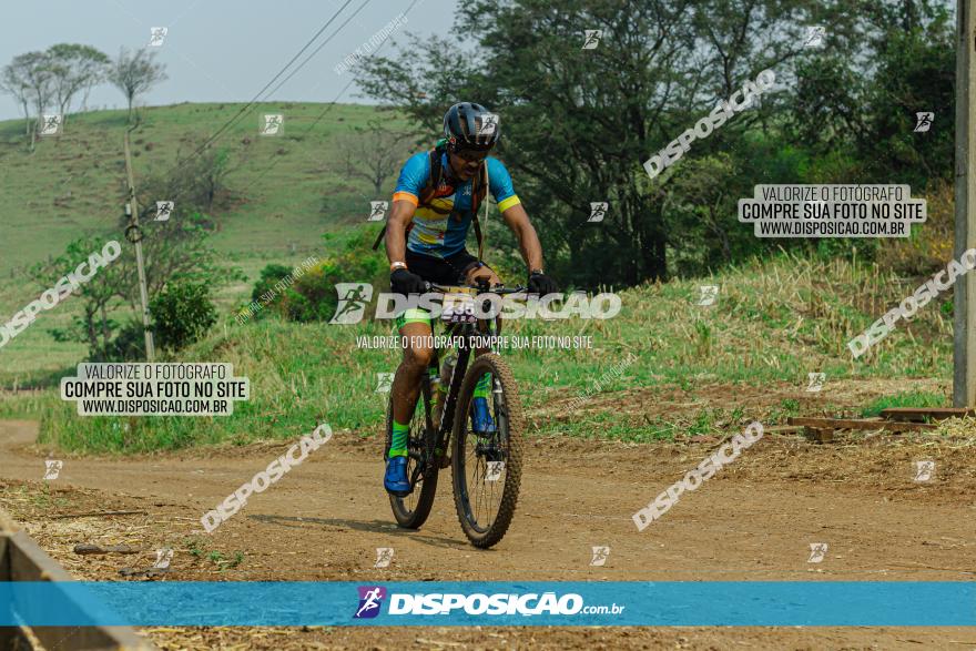 Desafio do Anjo 2022