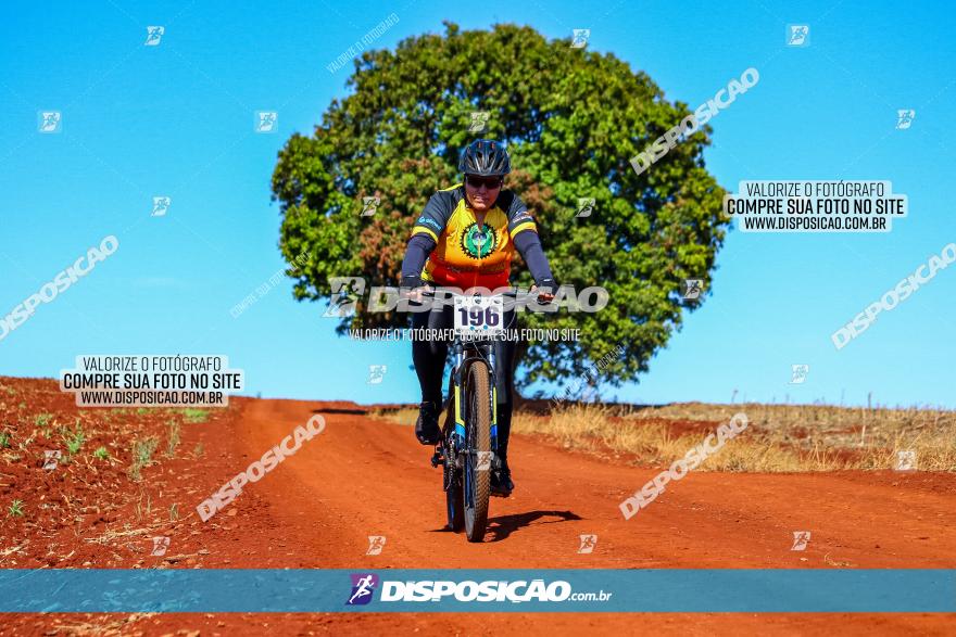 Desafio Norte PR MTB - Etapa Sarandi