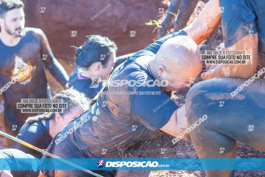 Furioso Extrema