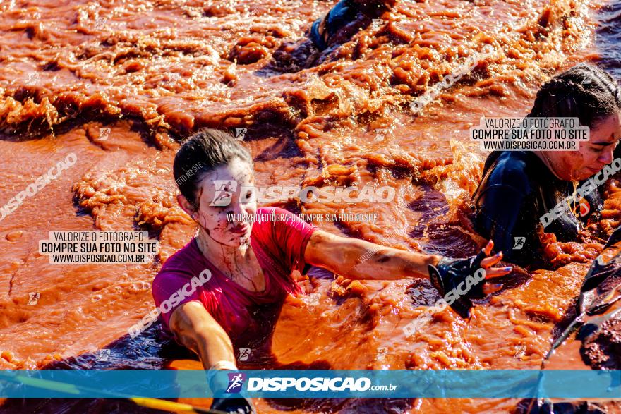 Furioso Extrema