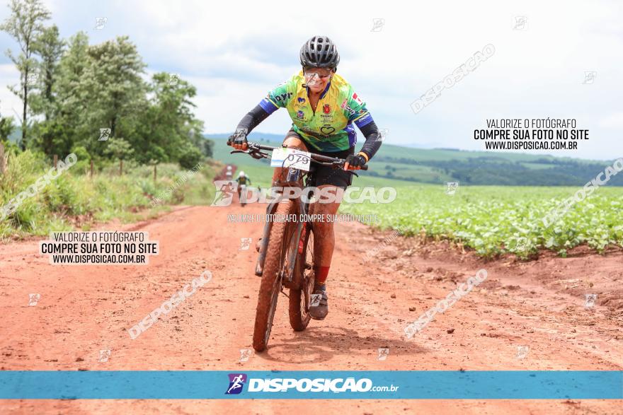Circuito Metropolitano de Cicloturismo - 3ª Etapa
